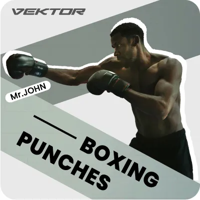Boxing Punches